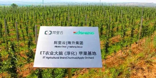 未來(lái)農(nóng)業(yè)價(jià)值可期！阿里、京東、華為，碧桂園紛紛發(fā)力數(shù)字農(nóng)業(yè)