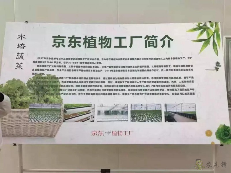 京東的這些“網紅”農業項目,你都知道嗎?