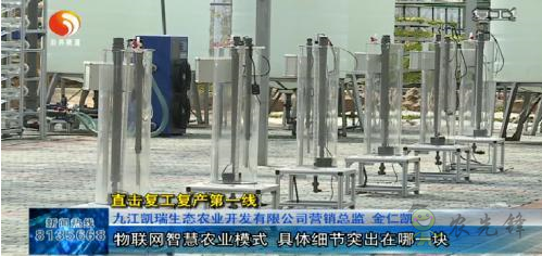彭澤縣國家現(xiàn)代農業(yè)產業(yè)園