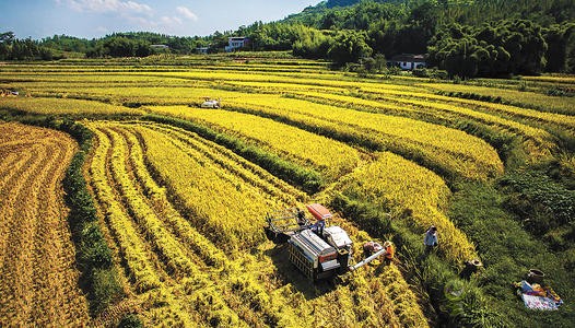 在農業(yè)領域中傾角傳感器扮演一個什么角色