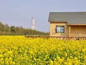 8種最新的農業模式，哪一個會成為下一個“農業風口”呢?