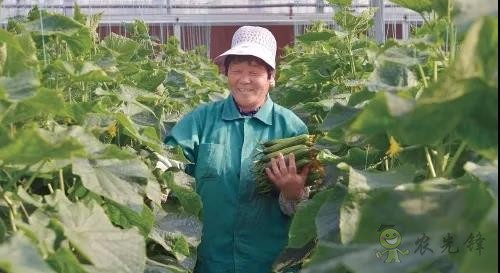 ?鄉村振興，壽光答卷