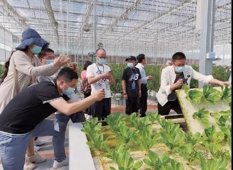 ?鄉村振興，壽光答卷