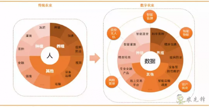 【重磅研究】中國數(shù)字農(nóng)業(yè)的發(fā)展概況