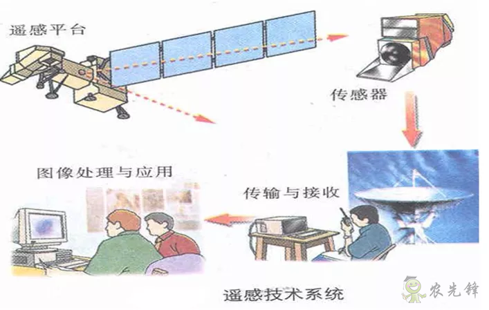 中國遙感衛(wèi)星再添新成員 看TA在太空如何對農(nóng)作物“稱斤計兩”？