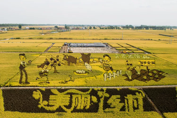 習近平：堅持農(nóng)業(yè)農(nóng)村優(yōu)先發(fā)展，加快農(nóng)業(yè)農(nóng)村現(xiàn)代化