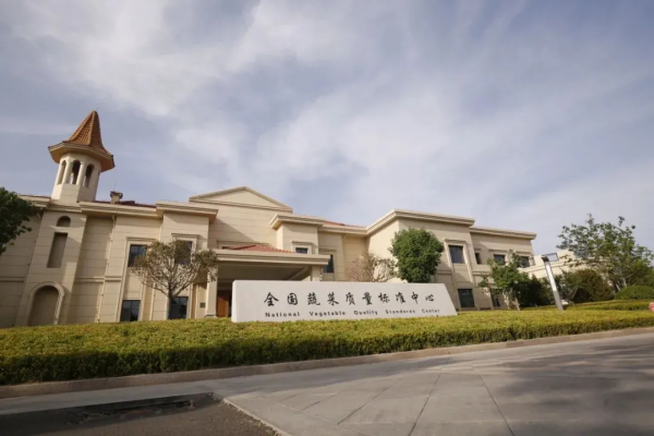 人均年收入40萬+，壽光蔬菜成功秘訣到底是什么
