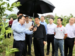唐仁健：做大做強特色產業，扎實推進鄉村建設