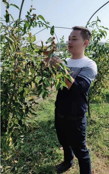 寧鄉:新型職業農民成為令人羨慕的“綠領”