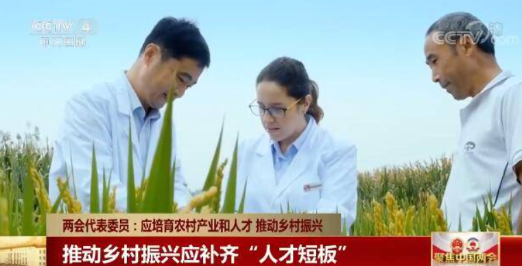 鄉村振興缺人才，加強推進人才走進鄉村