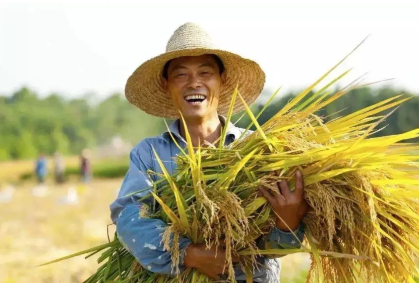 鄉村振興缺人才，加強推進人才走進鄉村
