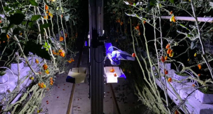 「國際視野」農業(yè)機器人助力自動化種植與生產