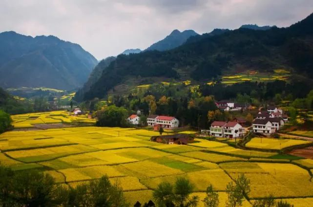 數(shù)字化農(nóng)業(yè)：靠啥實現(xiàn)產(chǎn)業(yè)鏈到價值鏈的升級