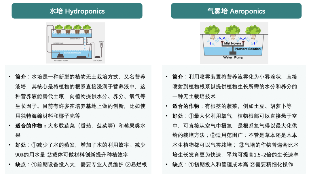 垂直農(nóng)業(yè)，一個(gè)可持續(xù)的未來？