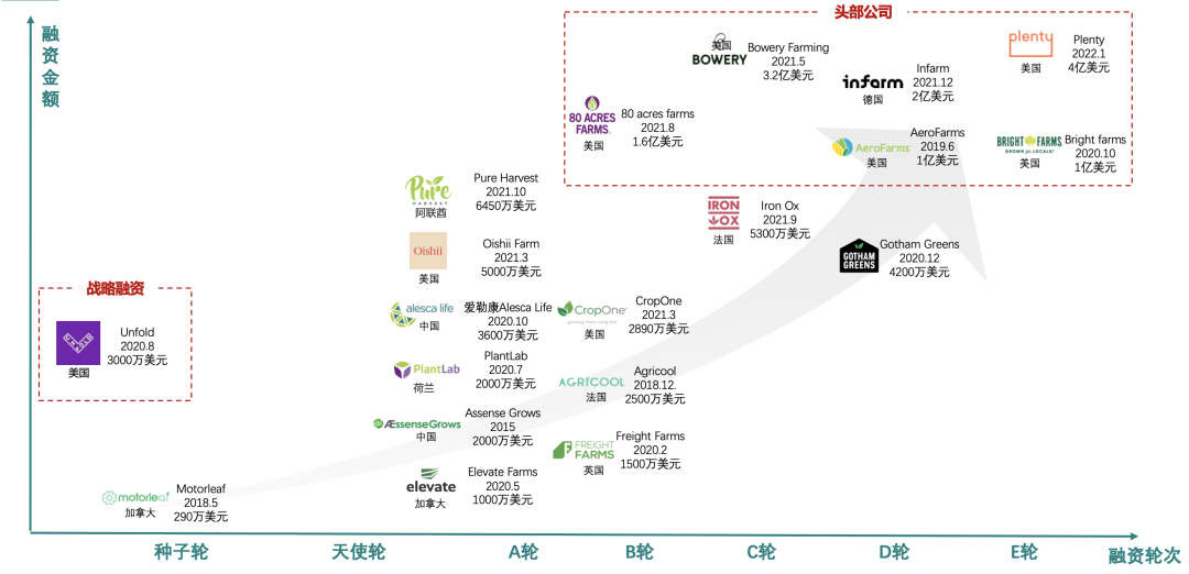 垂直農(nóng)業(yè)，一個(gè)可持續(xù)的未來？