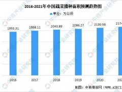 【創業復盤】搞農業，多大規模合適？