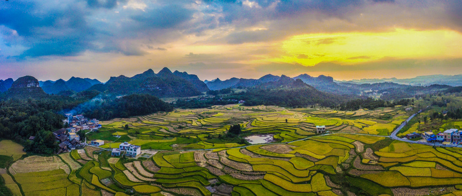 【縣域農(nóng)業(yè)】縣域是未來農(nóng)業(yè)品牌建設(shè)的主戰(zhàn)場！