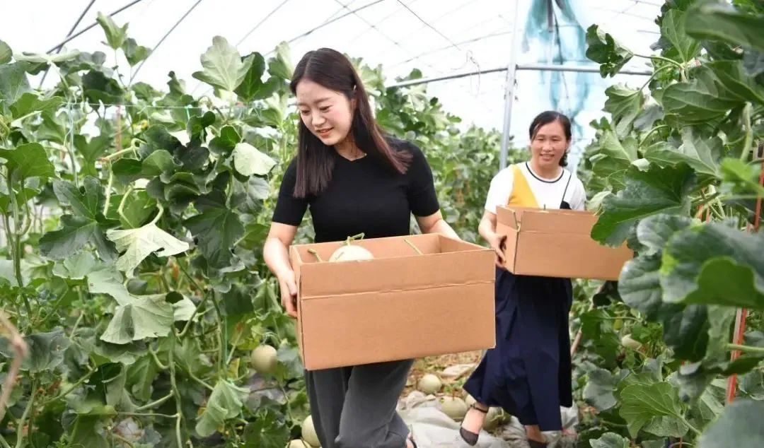 【縣域農(nóng)業(yè)】縣域是未來農(nóng)業(yè)品牌建設(shè)的主戰(zhàn)場！
