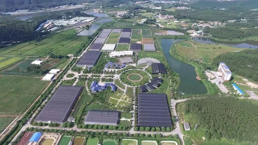 國家現(xiàn)代農業(yè)產業(yè)園發(fā)展的新思路與新舉措