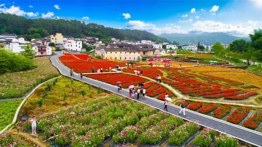國家現(xiàn)代農業(yè)產業(yè)園發(fā)展的新思路與新舉措