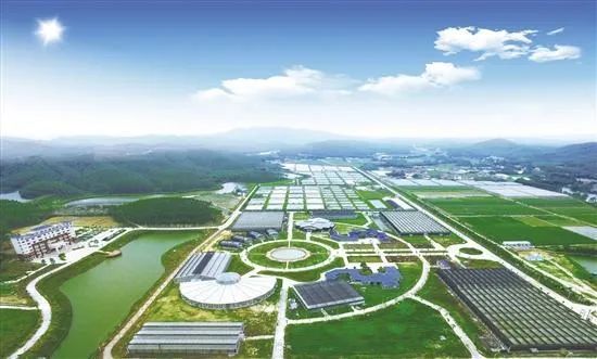 國家現(xiàn)代農業(yè)產業(yè)園發(fā)展的新思路與新舉措