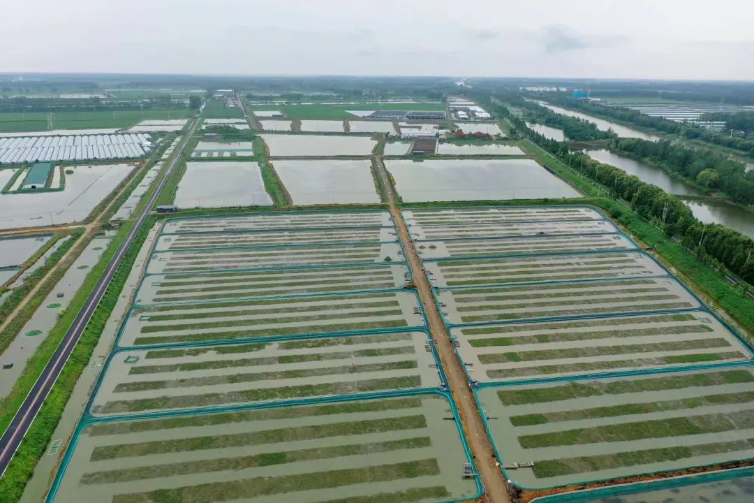 江蘇省兩地入選全國(guó)農(nóng)業(yè)生產(chǎn)“三品一標(biāo)”典型案例