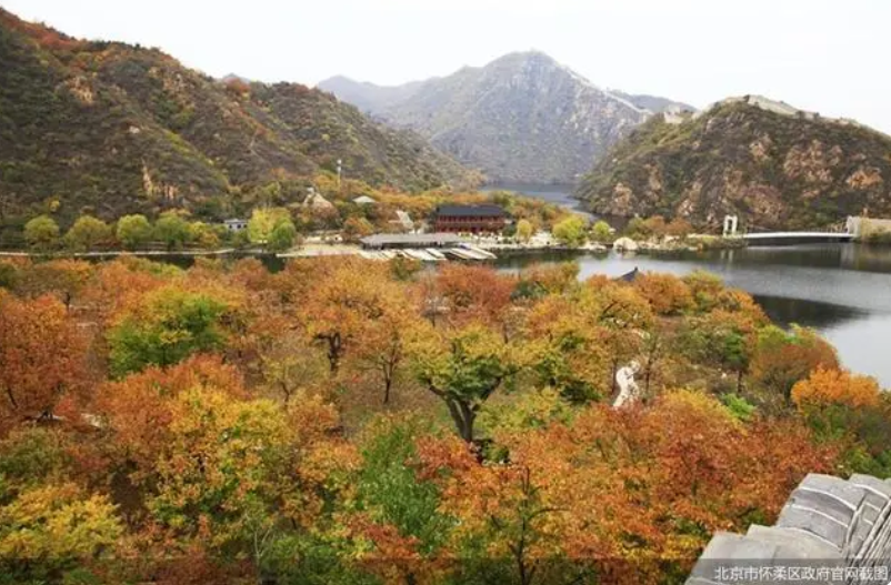 京郊“打卡”熱度持續(xù)，北京農(nóng)業(yè)“附加值”亮眼