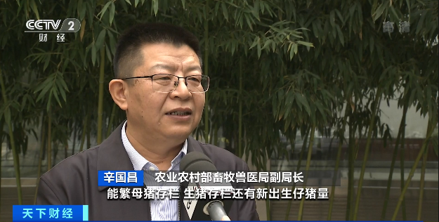 豬肉價格，為何漲了？接下來怎么走？農(nóng)業(yè)農(nóng)村部最新回應