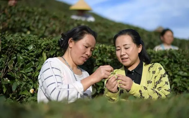 人民日報(bào)：推動(dòng)涉農(nóng)職業(yè)教育高質(zhì)量發(fā)展