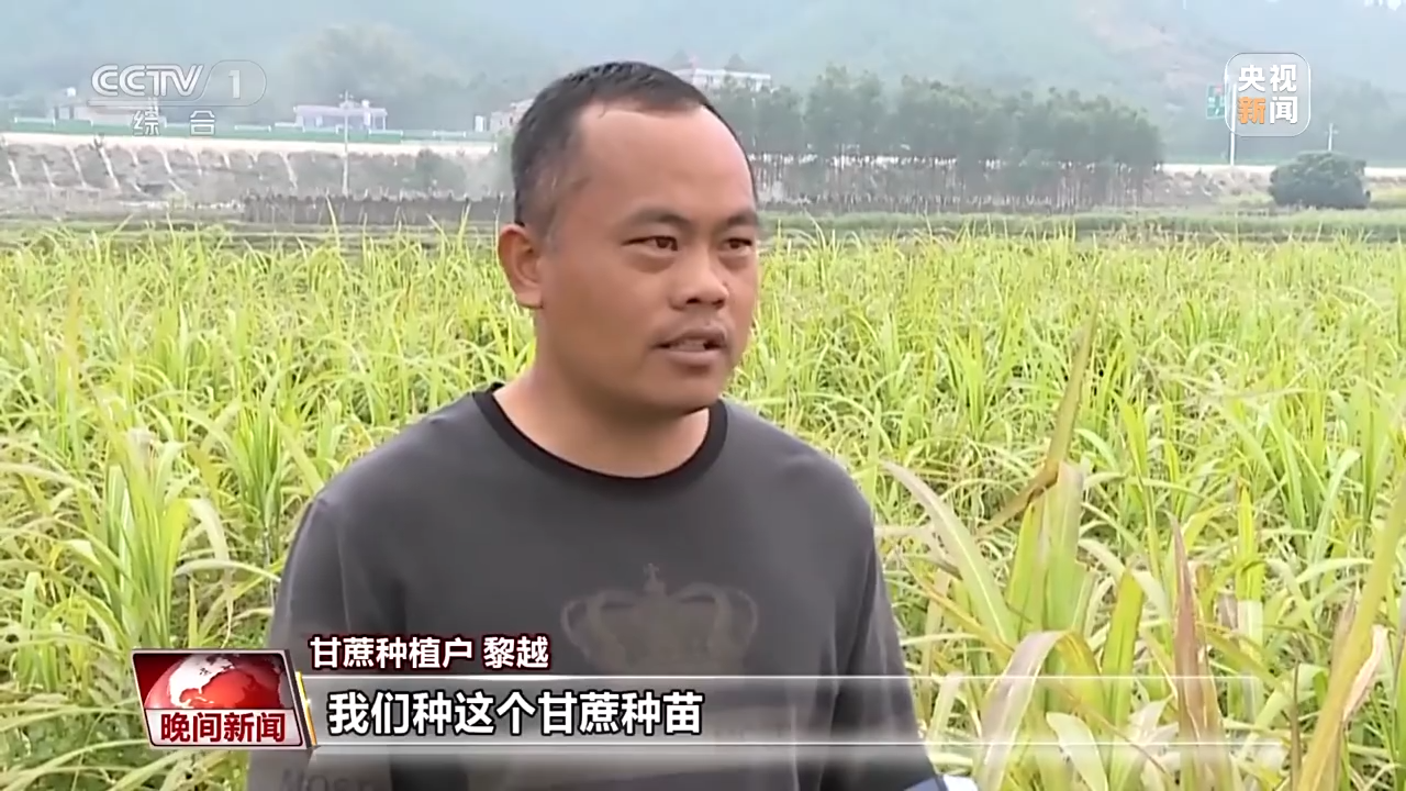 全力備春耕 科學(xué)育種做強(qiáng)農(nóng)業(yè)“芯片”