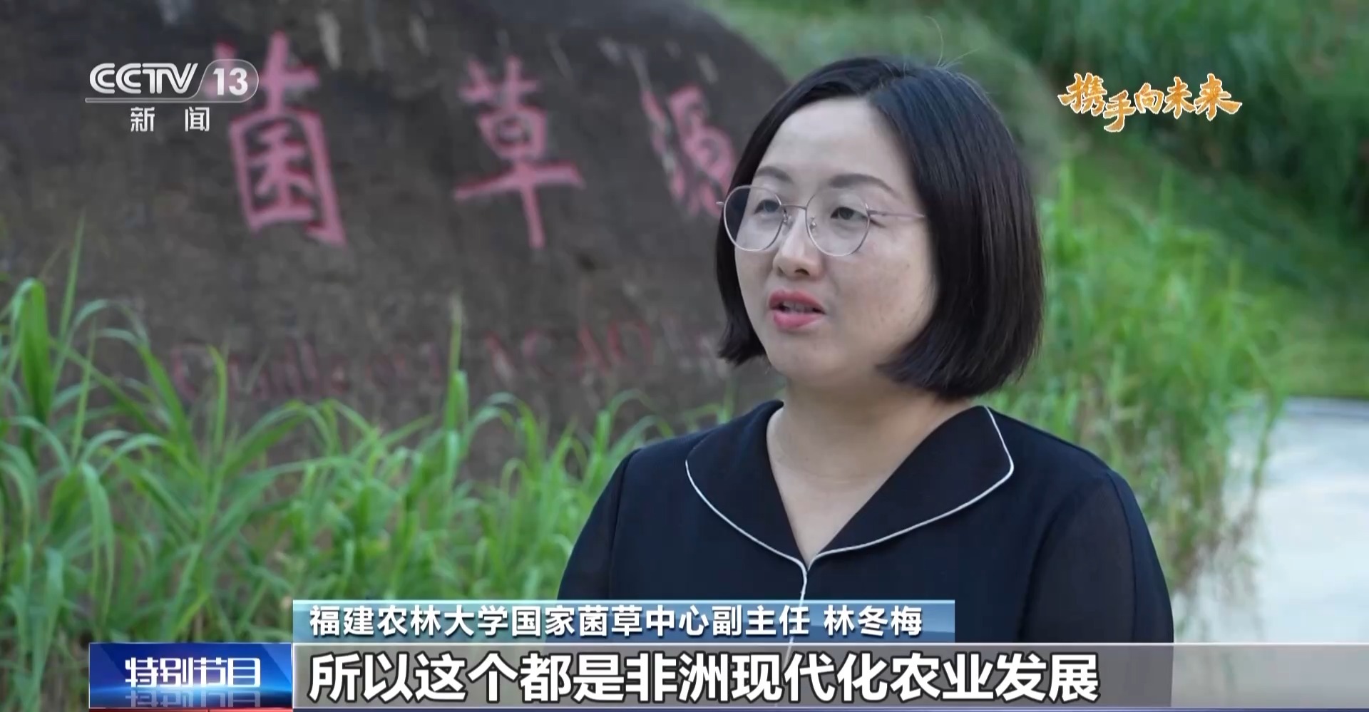 來自中國(guó)的菌草成為非洲多國(guó)民眾的“致富草”