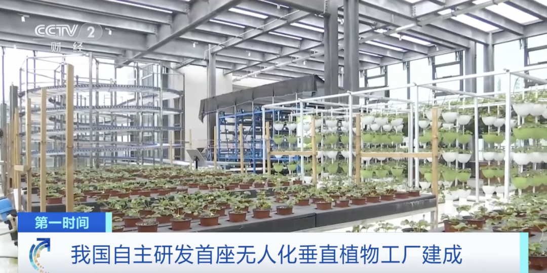 由農科院都市農業(yè)研究所自主研發(fā)的首座無人化垂直植物工廠投入使用